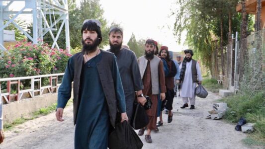 Taliban prisoners released by the Afghan government as part of a peace deal