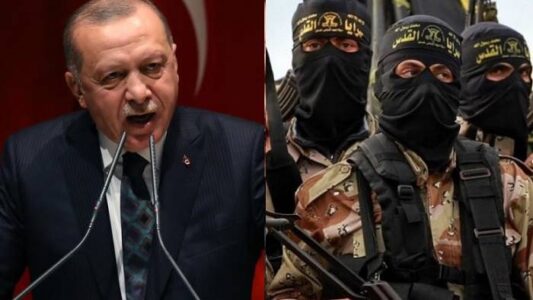 Egyptian authorities warns Greece of the threat posed by Erdogan’s Islamic terrorists