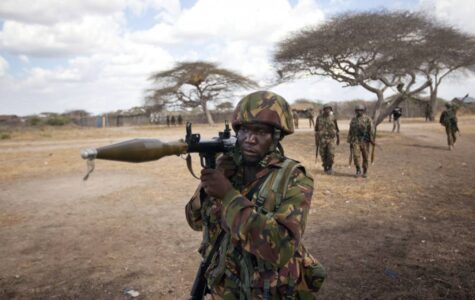 Somalian military forces killed ten Al-Shabaab terrorists including senior commander