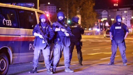 Perpetrator of last year’s terror attack in Vienna acted alone