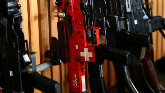 Swiss politicians call for relaxation of gun laws after the terrorist attack in Austria