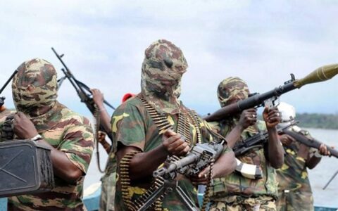 Nigerien troops rescue Nigerian soldiers attacked by terrorists