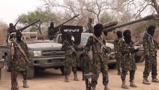 Boko Haram terrorists burn down more than 140 houses in Borno