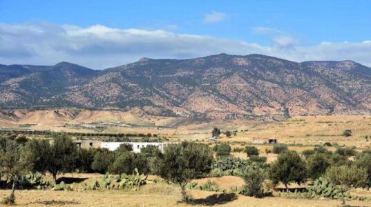 Improvised explosive device killed four Tunisian soldiers in mountain region near the Algerian border