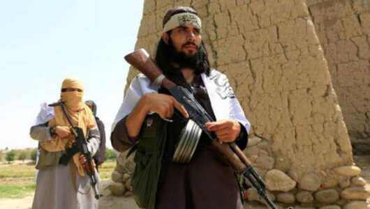 Taliban violence remains high despite efforts to bring peace