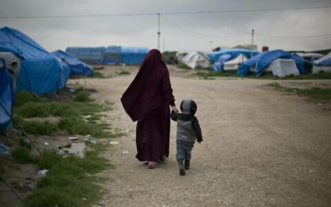 Germany to repatriate Islamic State women and children but their mothers will be held to account