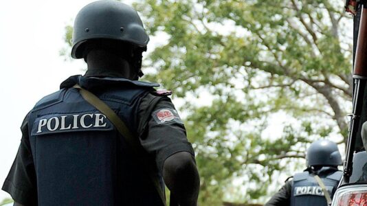 Two police officers and one soldier killed in Borno State