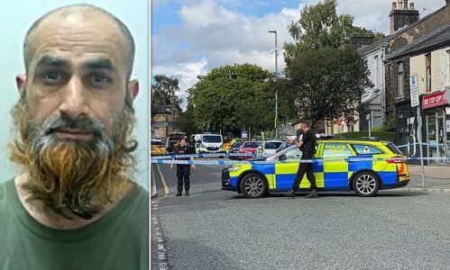 Knife-waving man sparked terror alert in Manchester by telling police he was Osama Bin Laden
