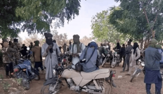 Terrorists abducted fifteen people in Niger