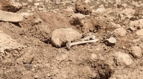 New mass grave of Islamic State victims discovered in Sinjar