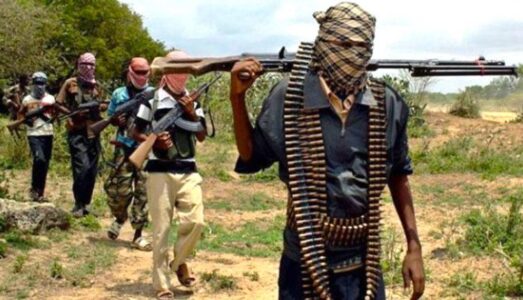 Terrorists abducted more than 50 people in the Kaduna community