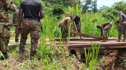 Kenyan security forces killed five terrorists in DR Congo