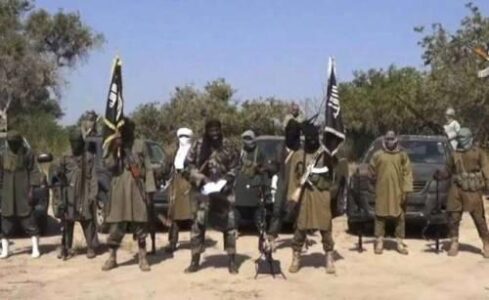 Boko Haram terrorists live on drugs and have sex like horses