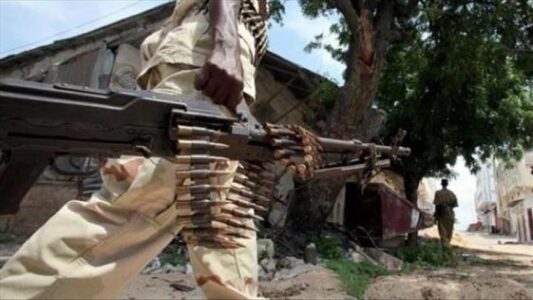 Somali military killed at least twelve al-Shabaab terrorists