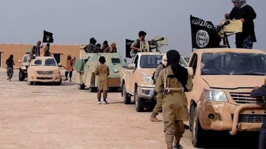 Islamic State terrorists executed a shepherd in Nineveh