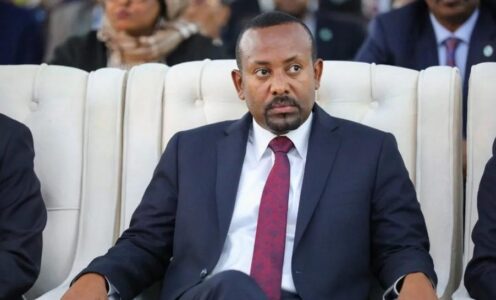 Ethiopia and Somalia eye shift from military to economic cooperation