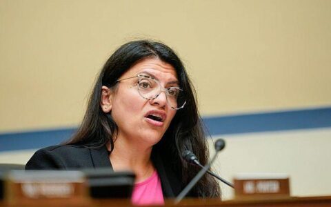 Rashida Tlaib’s absurd acid test