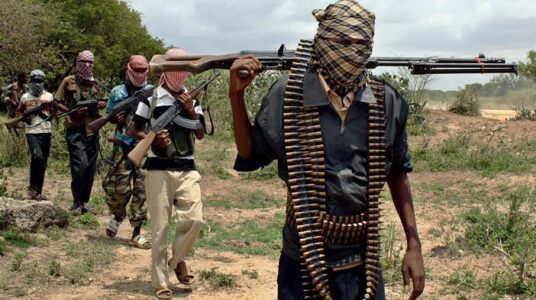 US forces kill two al-Shabaab terrorists in airstrike in Somalia