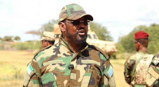 Somalia Military Claims 47 Al-Shabaab Militants Killed in Operation
