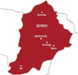 Officer injured as police repel Boko Haram attack in Borno