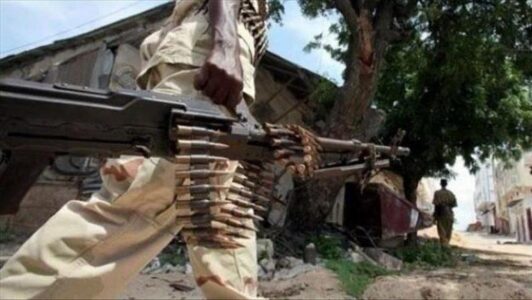 US strike kills approximately 30 al-Shabaab fighters in Somalia