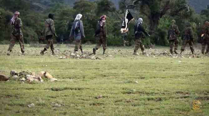 Dozen al-Shabaab Fighters Killed in U.S. Strike