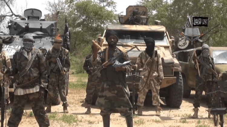 Boko Haram Terrorists Kill 10 Villagers In Gov Buni’s Home Town