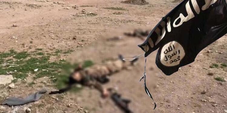 Internal Security Forces kill ISIS suicide bombers in Syria’s al-Hasakah