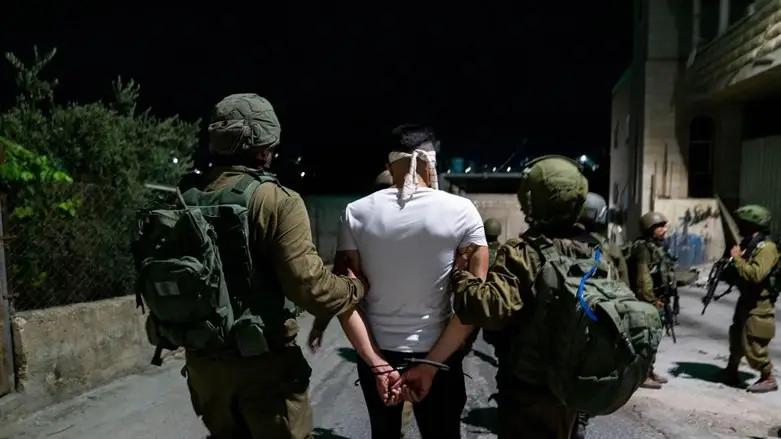 IDF arrests Islamic Jihad senior official near Jenin