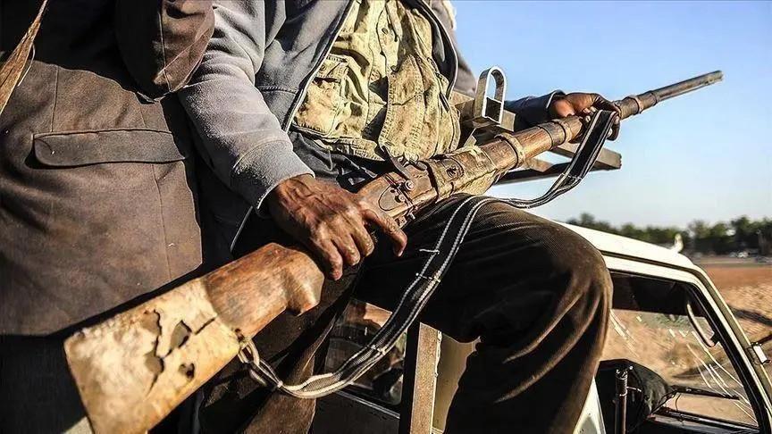 Terrorists kill vigilante member working on a farm in Katsina