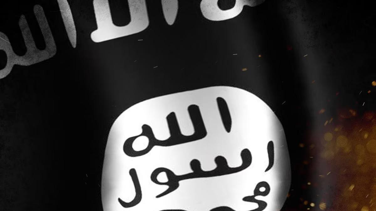 Troutdale man pleads guilty for producing ISIS propaganda