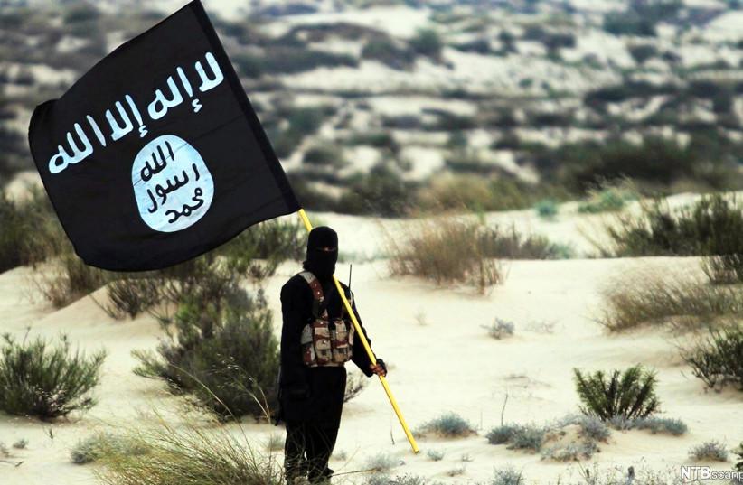 Florida man sentenced to 18 years for attempting to provide material support to ISIS
