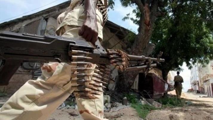 Somali army, local militias kill at least 100 al-Shabaab terrorists: Minister