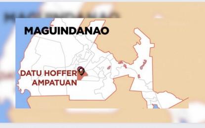 11 DI extremists killed in Maguindanao Sur military op