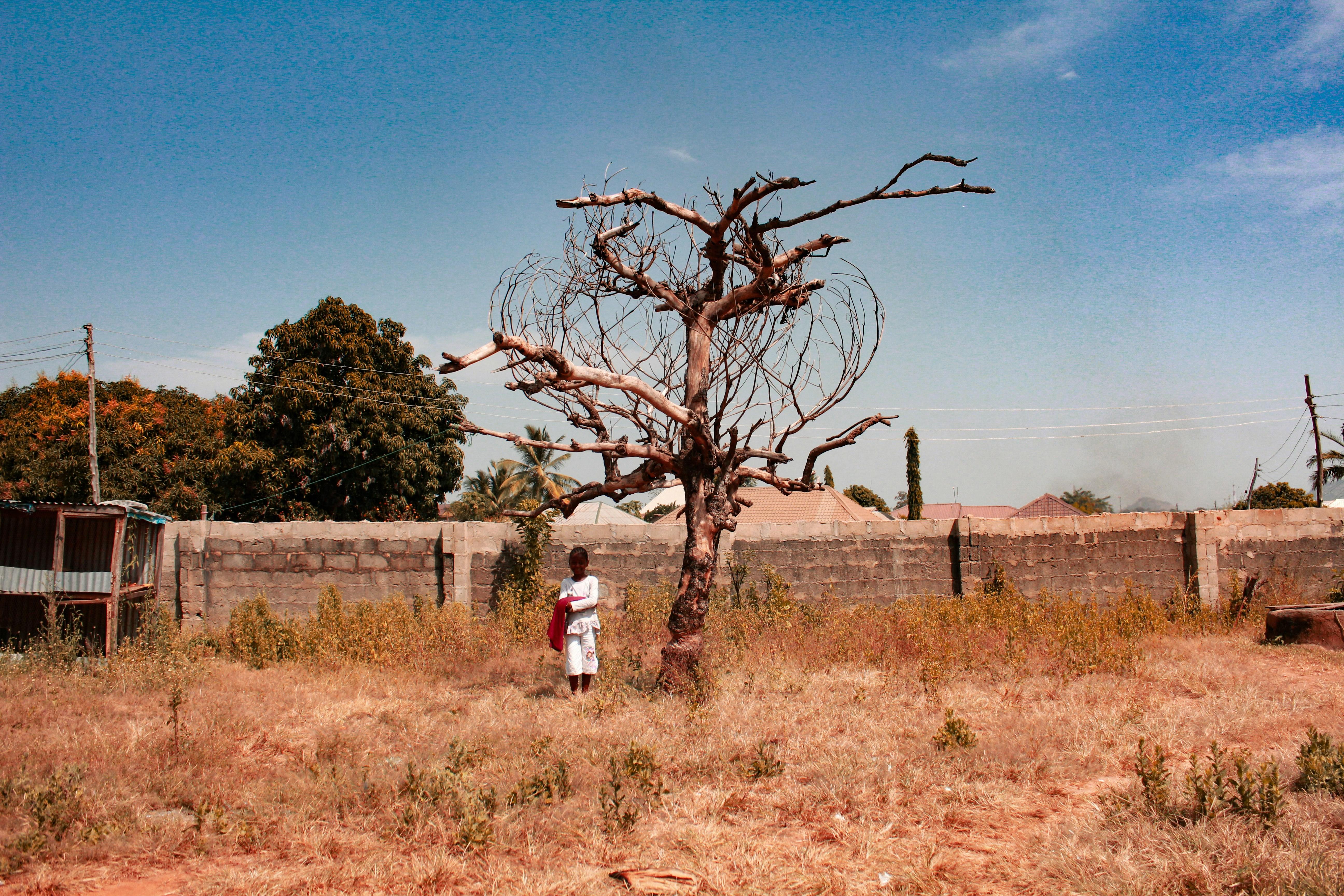 Nigerian extremists repay Christian hospitality with murder